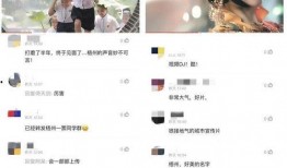 俊辰少爷语音爆料视频,揭秘幕后故事